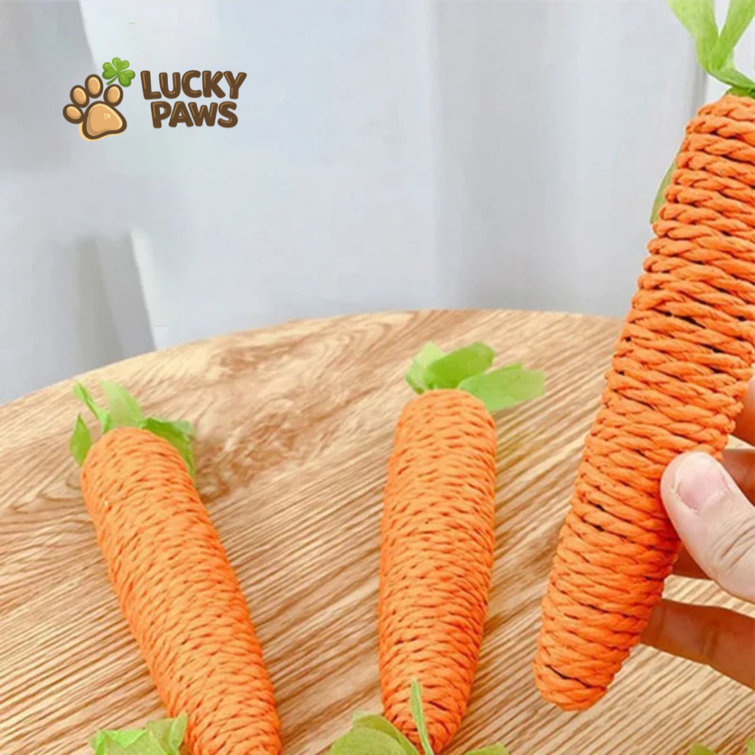Carrot Chew Stick for Cats