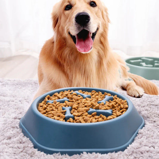 Anti-Choke Feeding Bowl - Slow Feeder for Dogs & Cats