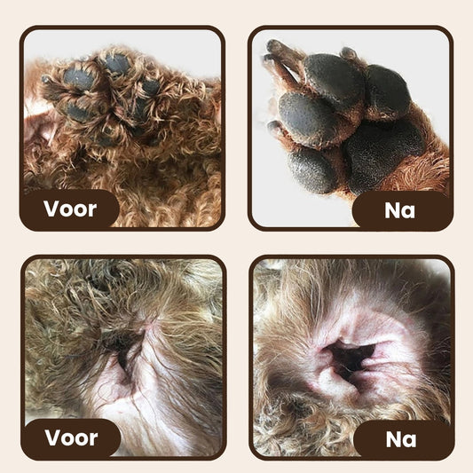 CharmPaws® Complete Professional Grooming Bundle