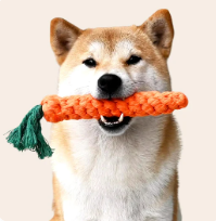 Dog Toys