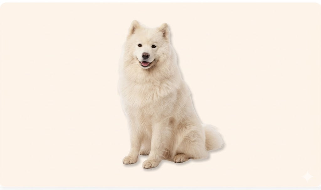 Dogs