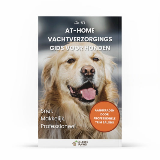 #1 At-Home Coat Care Guide for Dogs E-book