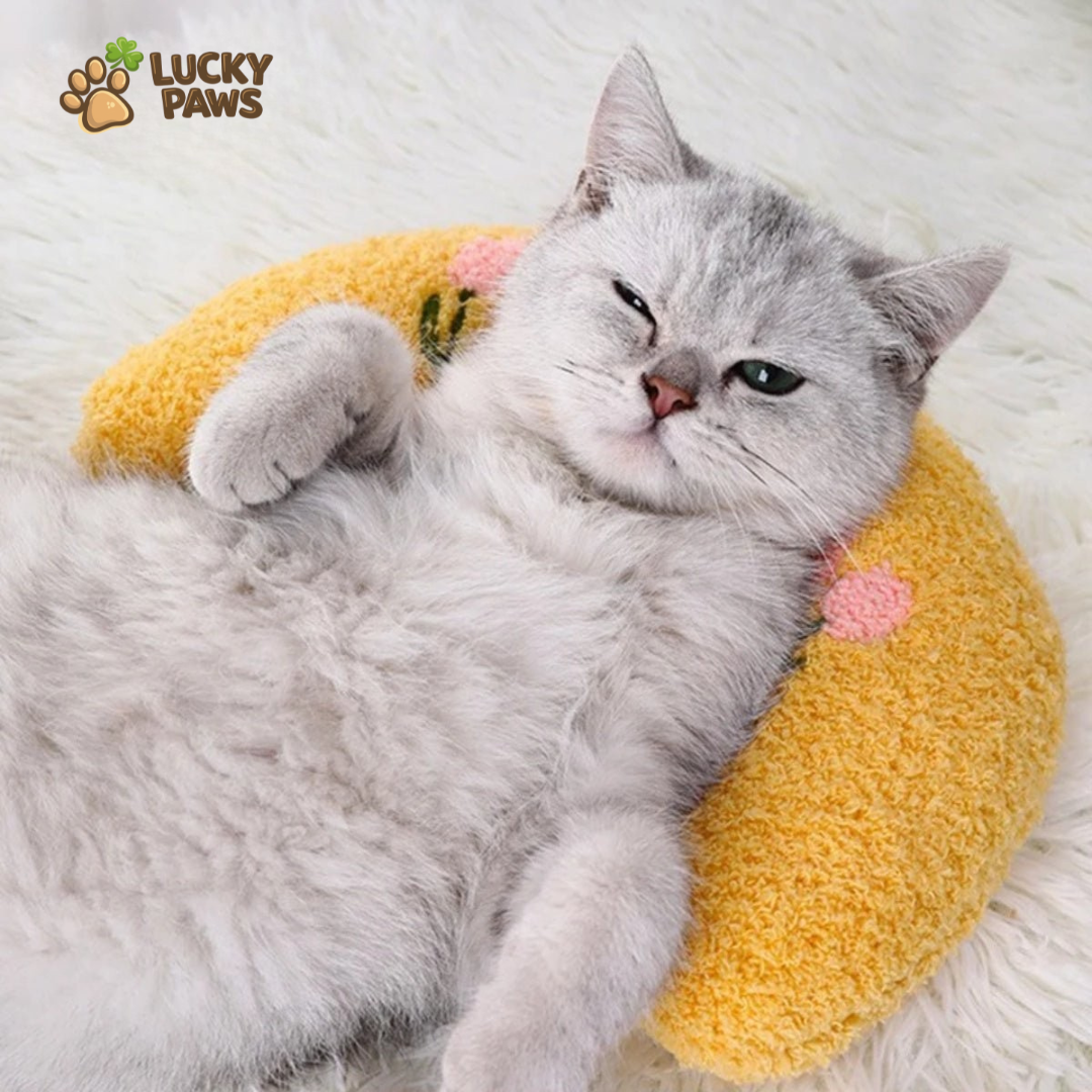 Calming Cushion - For Cats & Small Dogs