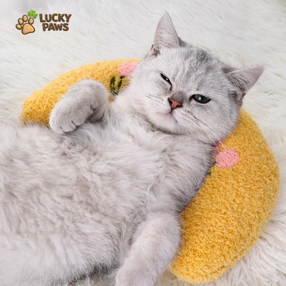 Calming Cushion - For Cats & Small Dogs