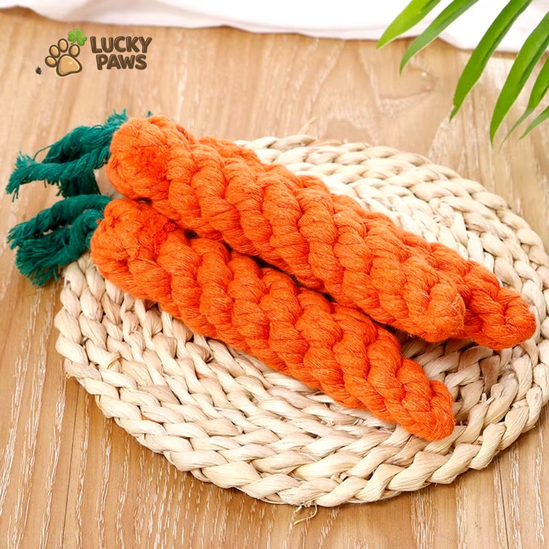 Dog Carrot Chew Stick