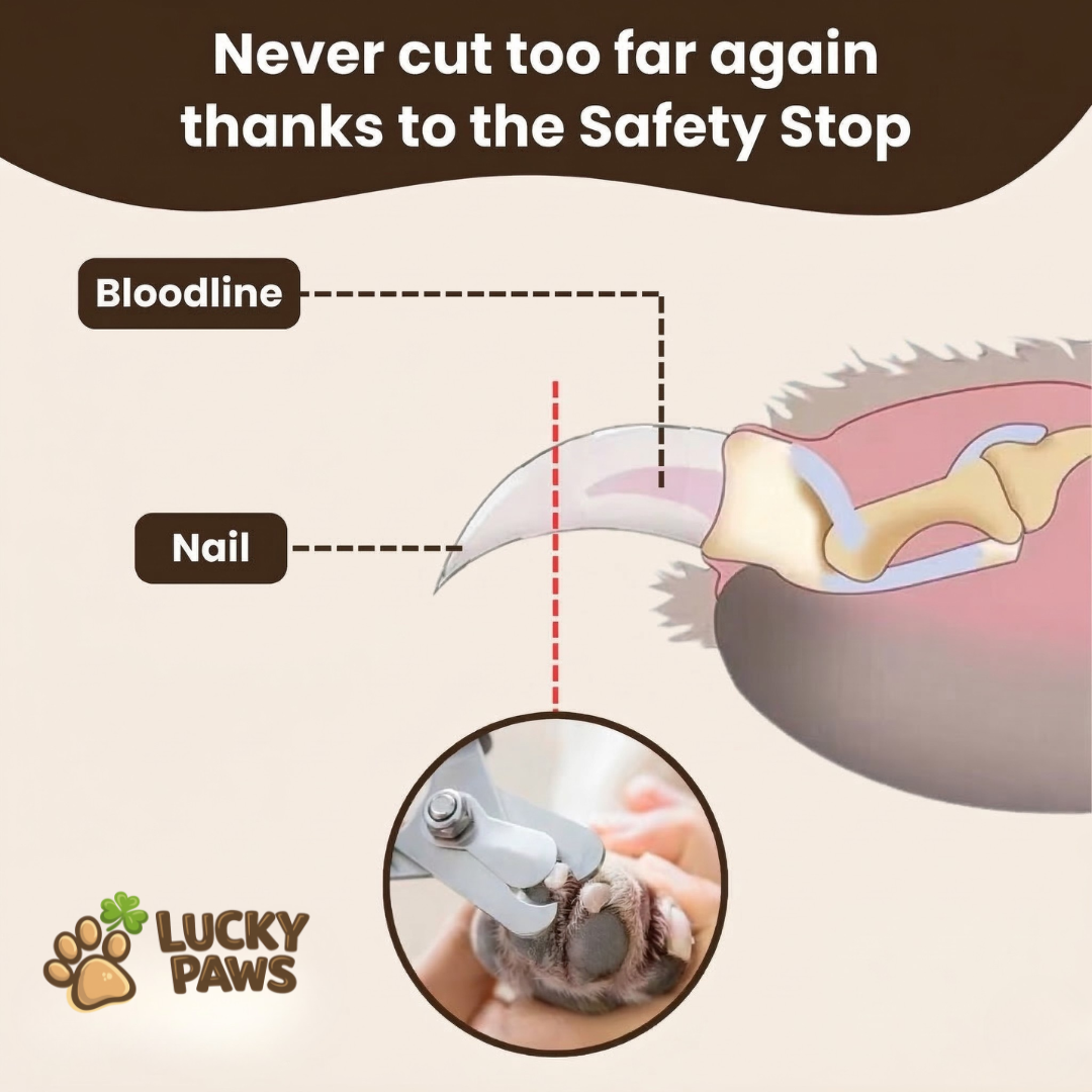 Professional Nail Clipper with Safety Stop - For Dogs & Cats