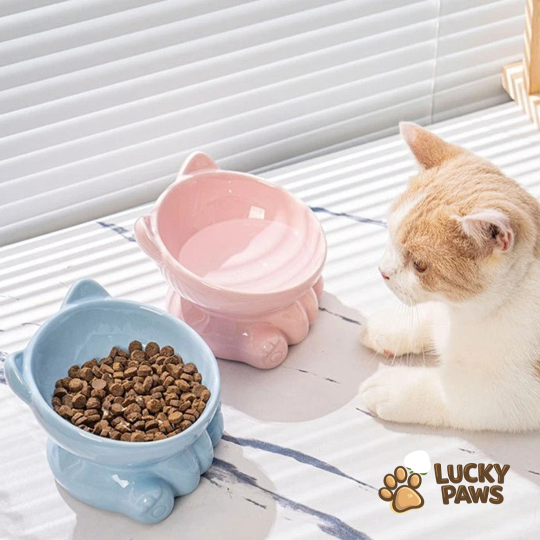 Ceramic Cat Food Bowl