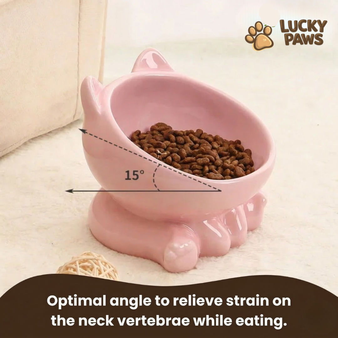 Ceramic Cat Food Bowl