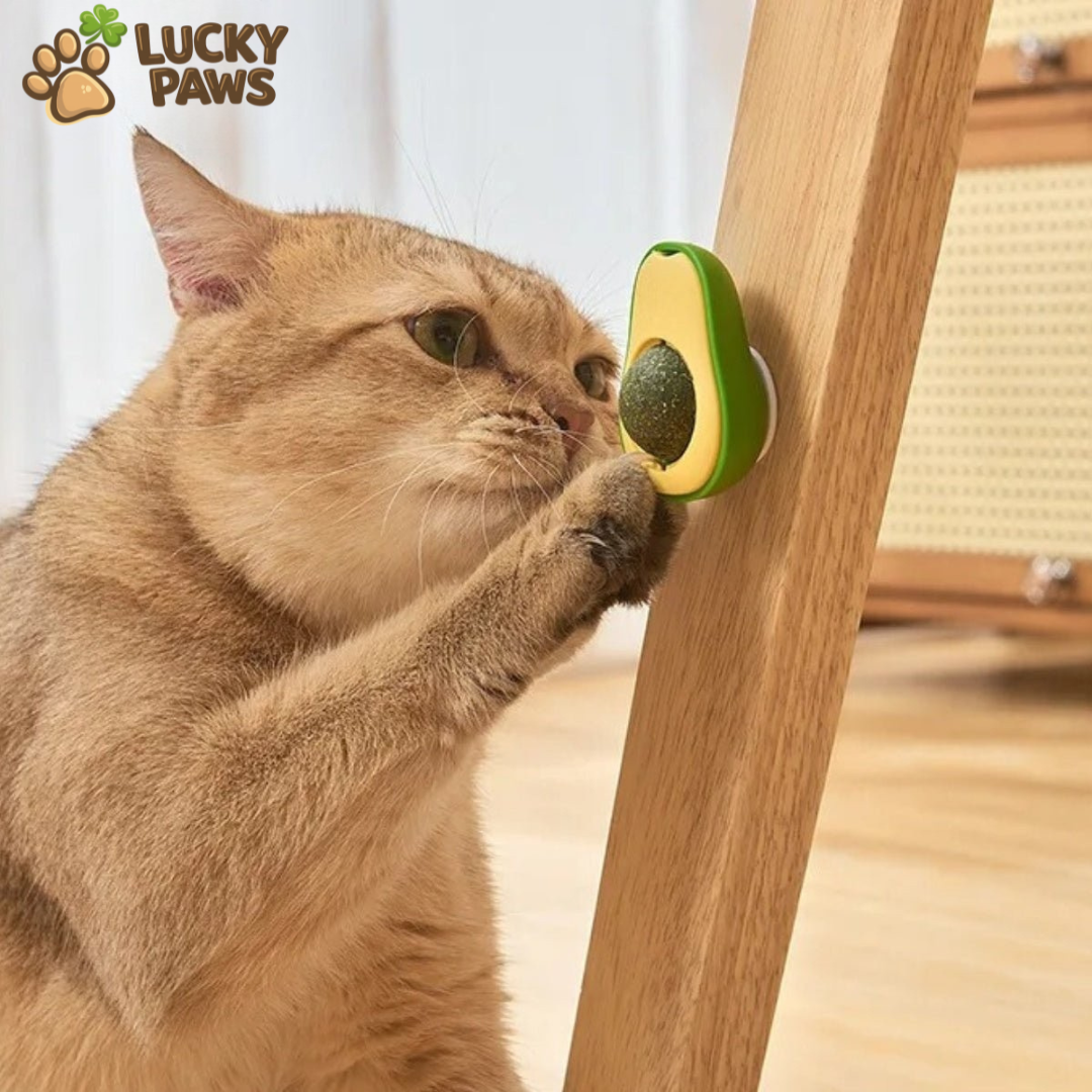 Avocado Catnip Ball
