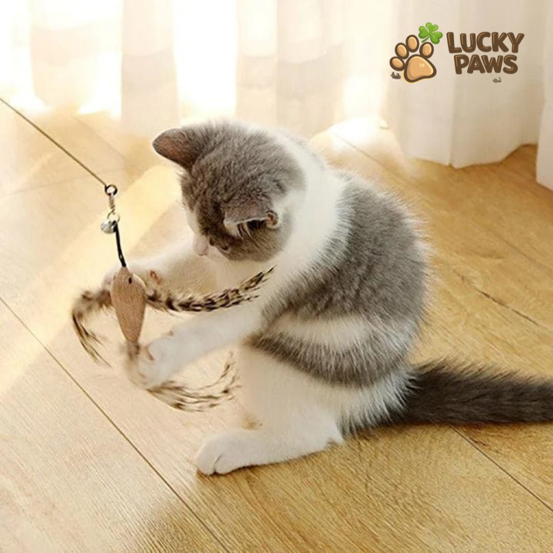 Bird Hunting Simulator Set Original