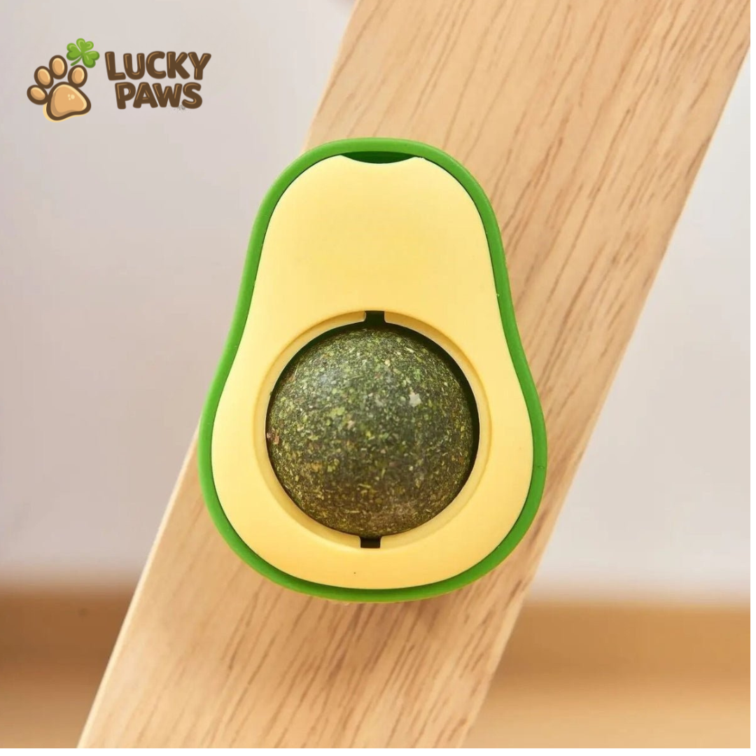Avocado Catnip Ball