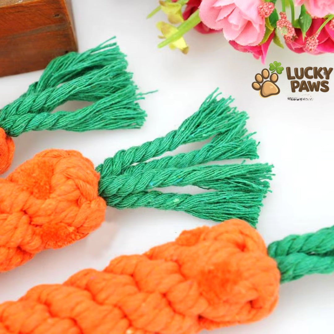 Dog Carrot Chew Stick