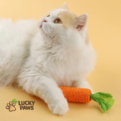 Carrot Chew Stick for Cats