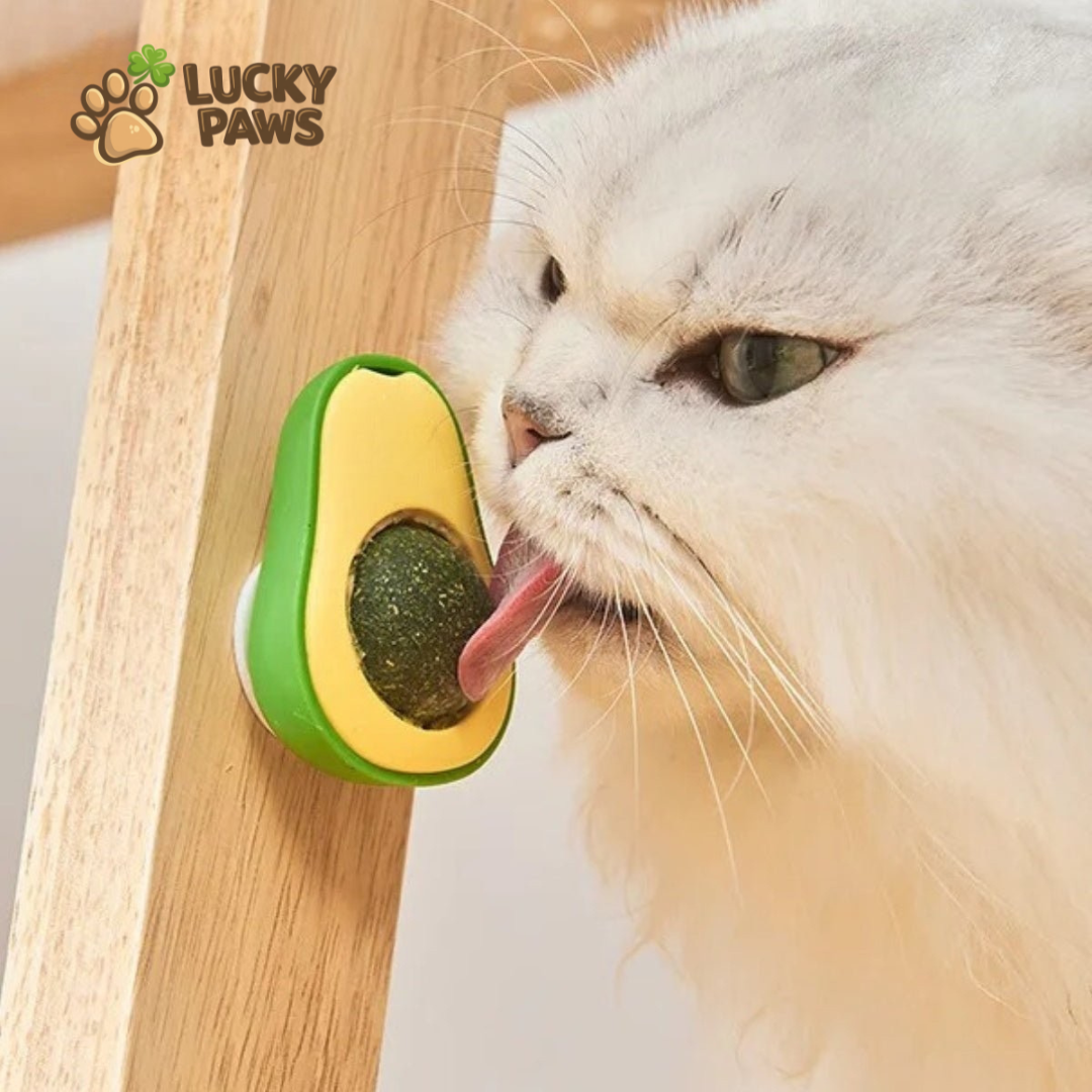 Avocado Catnip Ball
