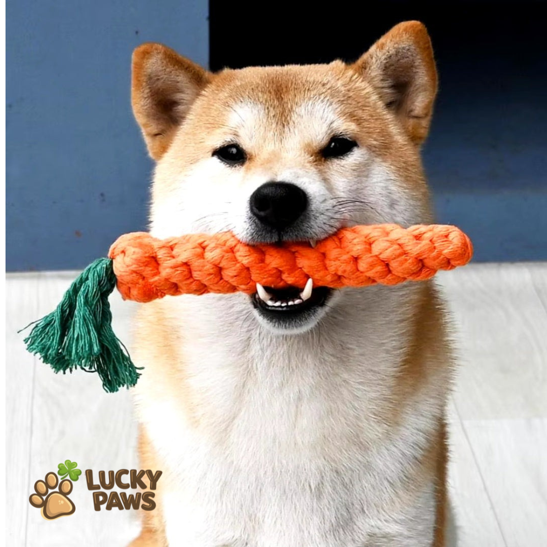 Dog Carrot Chew Stick
