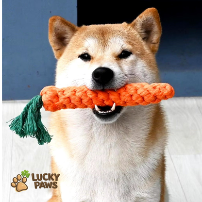 Dog Carrot Chew Stick