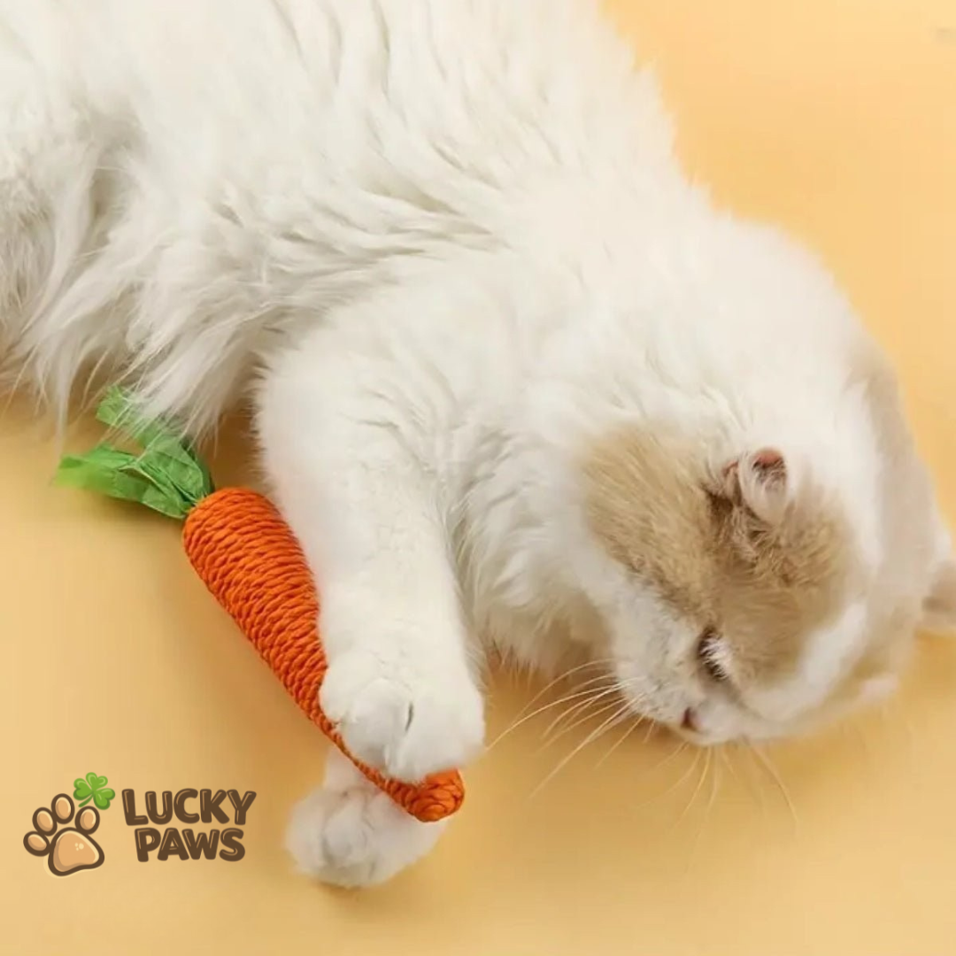 Carrot Chew Stick for Cats