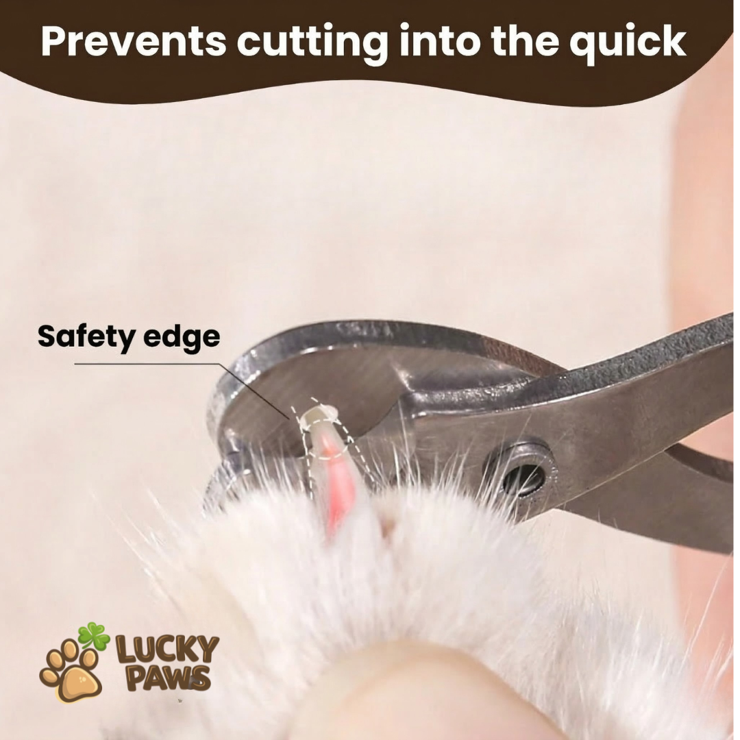 Safe Nail Clipper