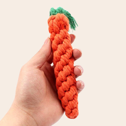 Dog Carrot Chew Stick