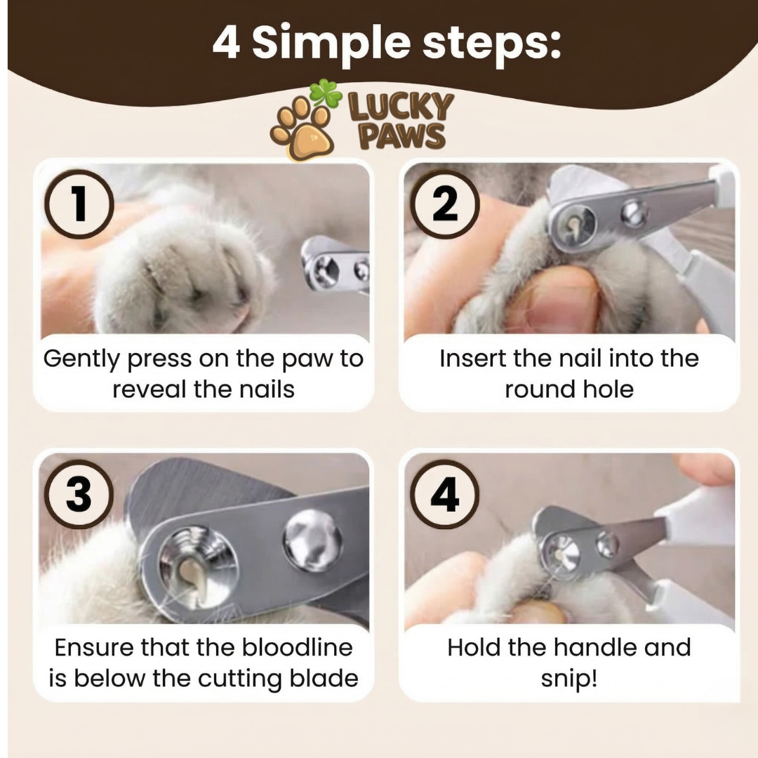 Safe Nail Clipper