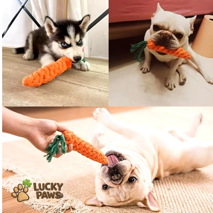 Dog Carrot Chew Stick