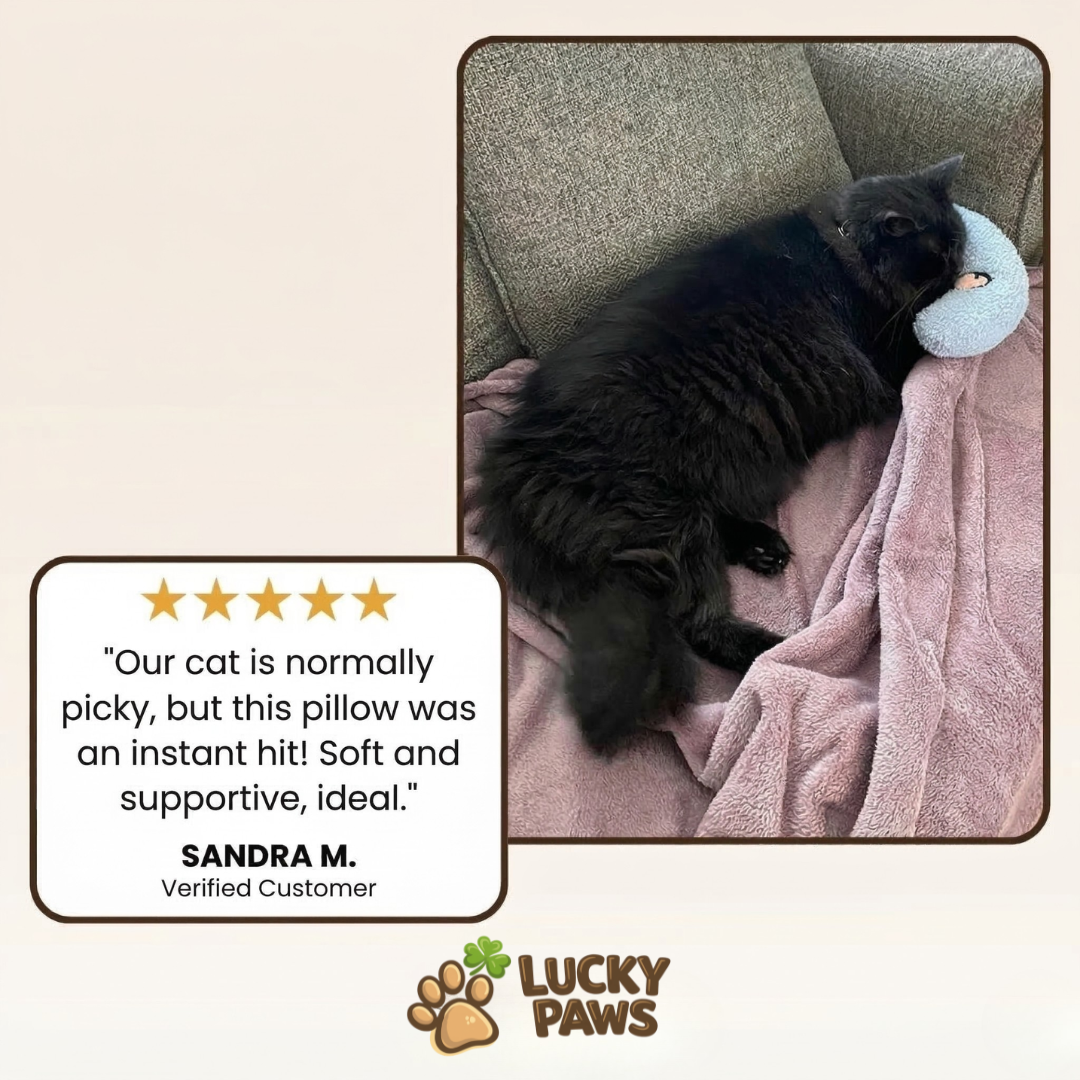 Calming Cushion - For Cats & Small Dogs