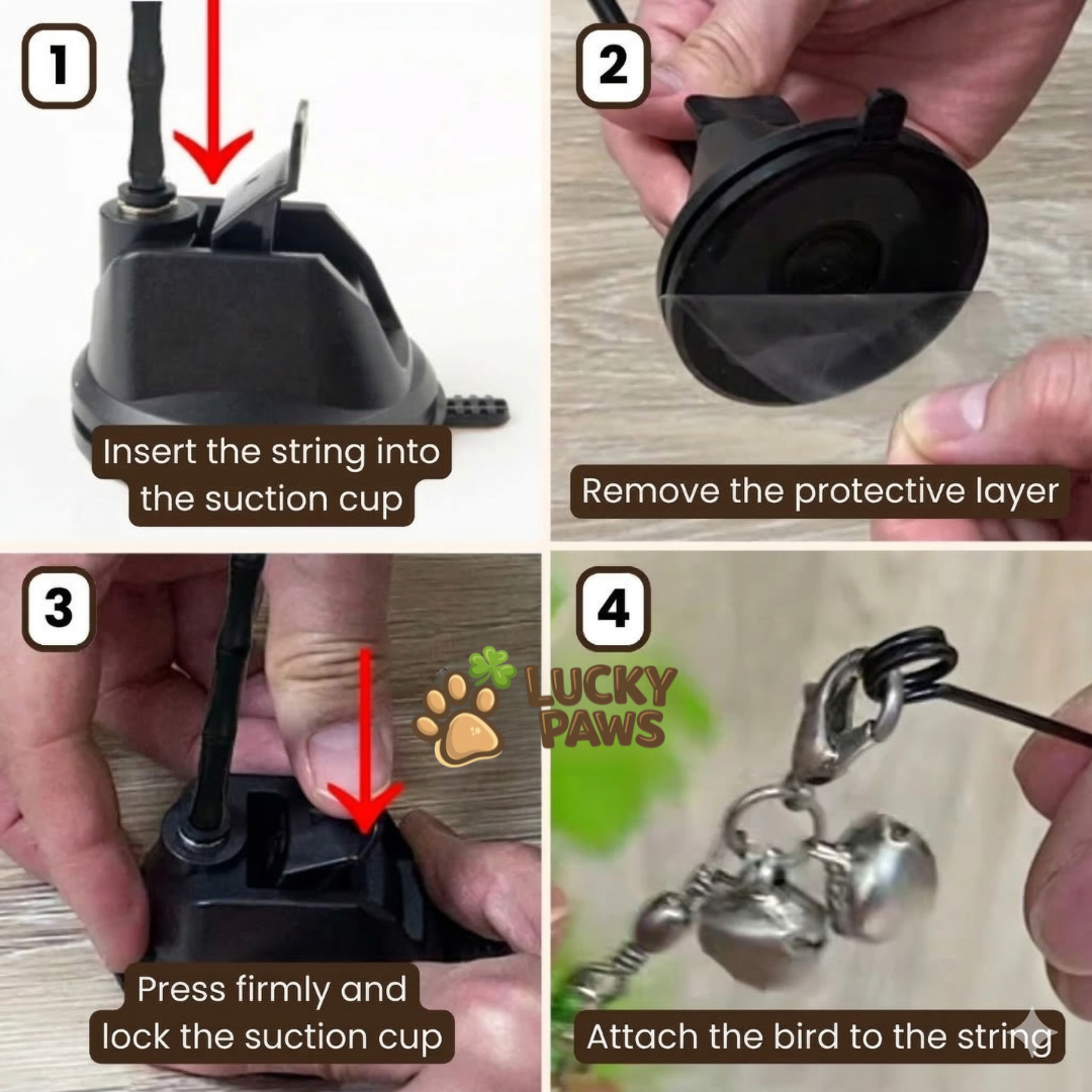 Bird Hunting Simulator Set Original