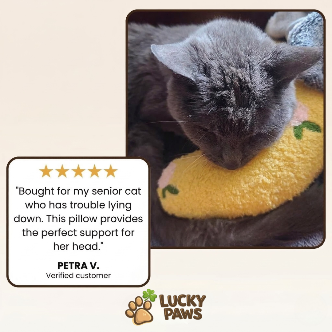 Calming Cushion - For Cats & Small Dogs