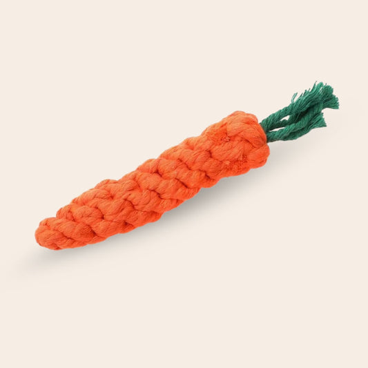 Dog Carrot Chew Stick