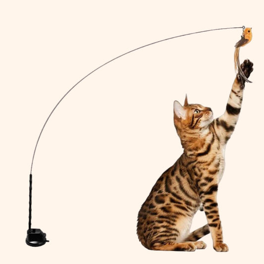 Bird Hunting Simulator Set Original