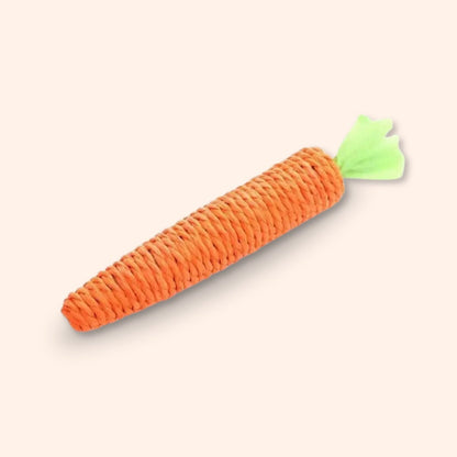Carrot Chew Stick for Cats