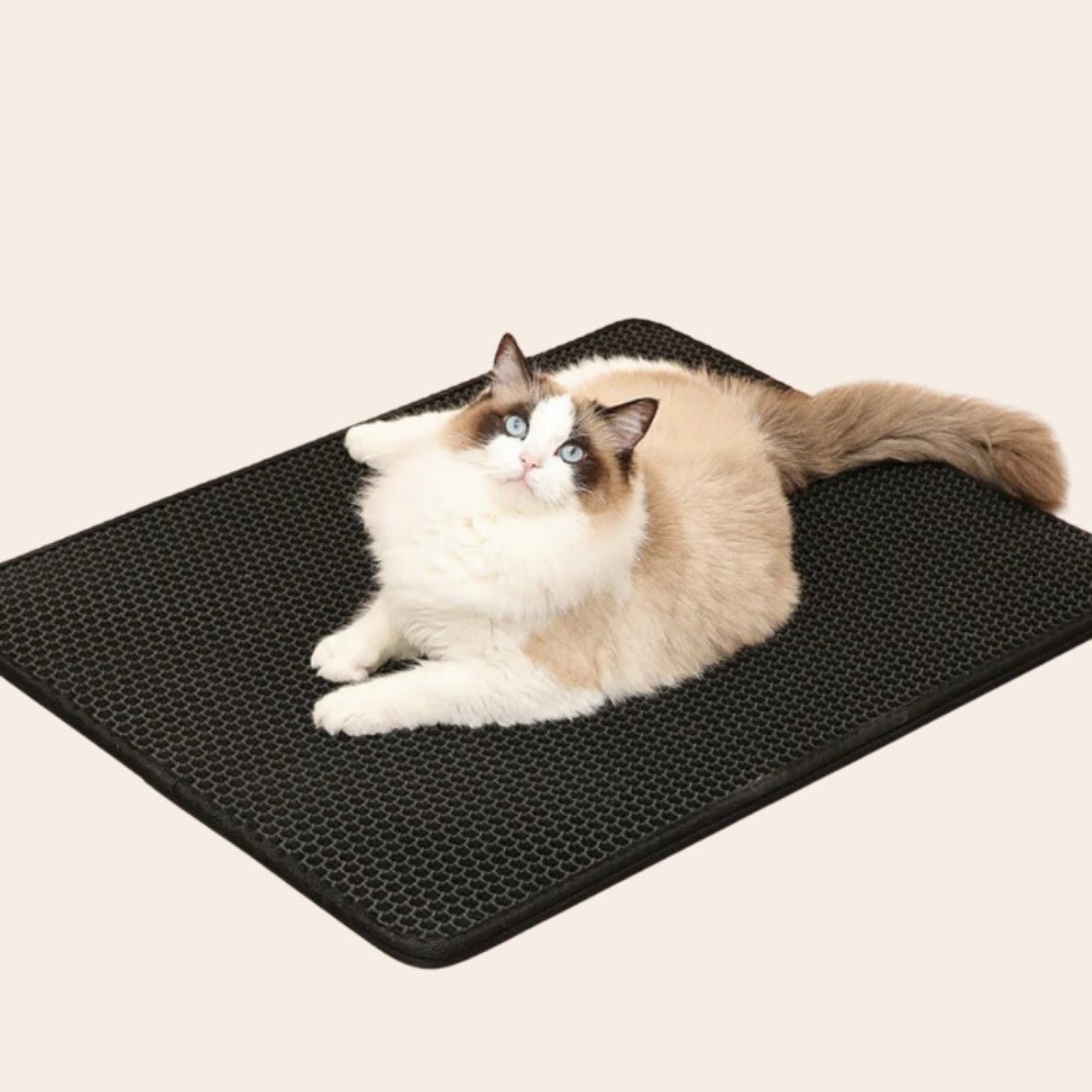 XL Cat Litter Mat