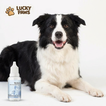 Coat Refreshing Shampoo Drops - For All Coat Types