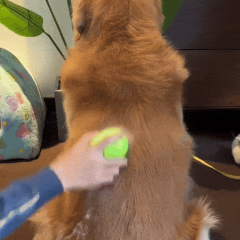 LuckyPaws Groomi Original - Pet Grooming Brush