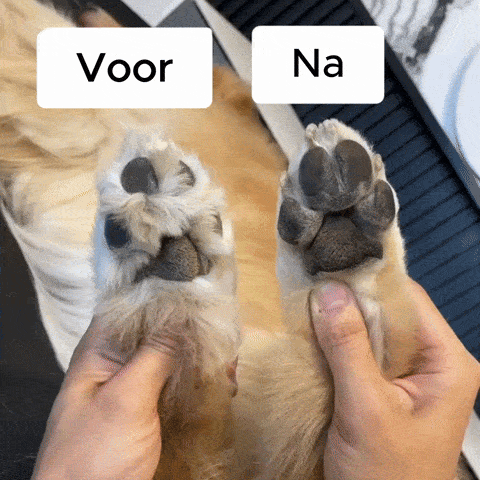 LuckyPaws® EasyPaw Pro - Professional Precision Trimmer for Pets